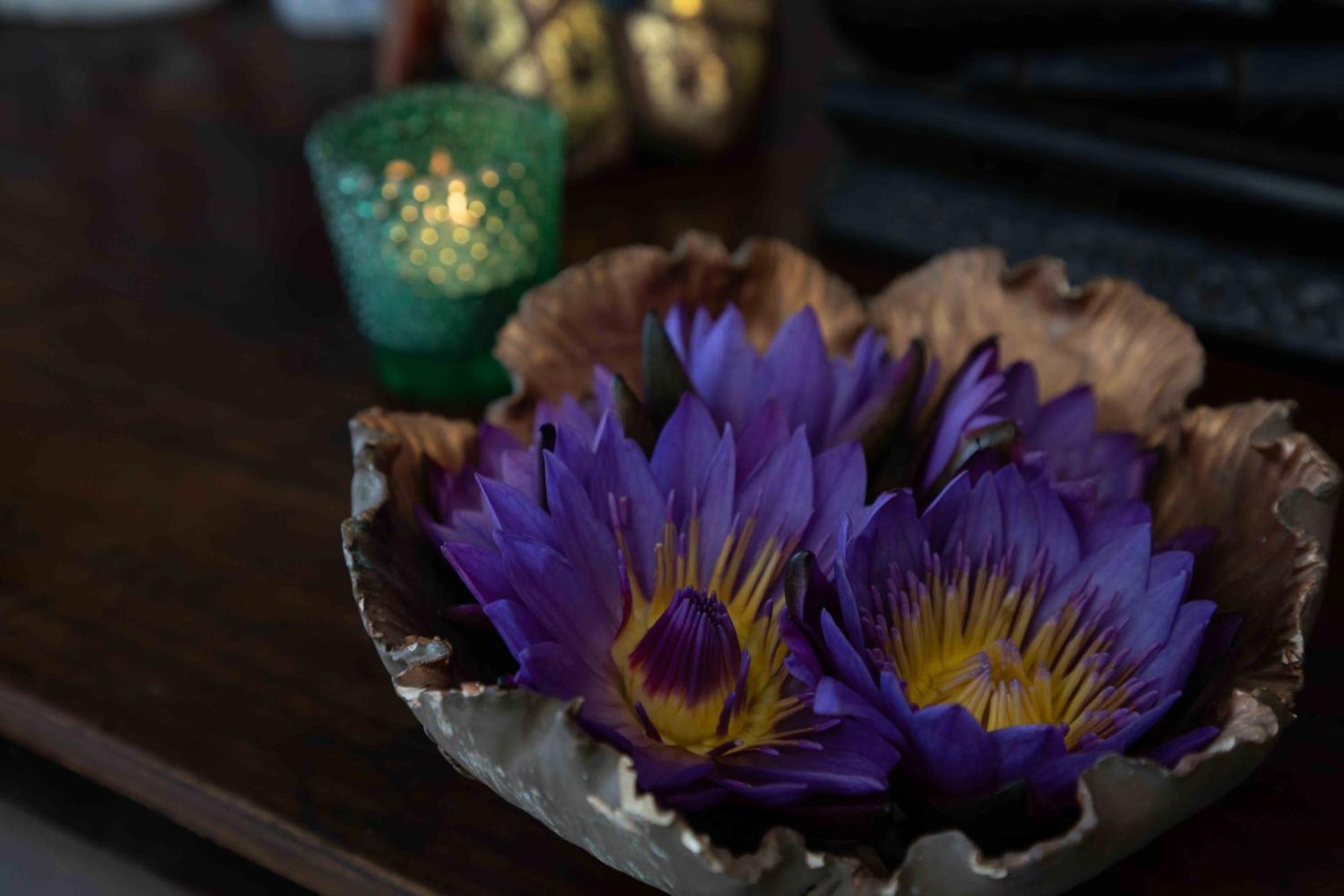 Lotus Colombo Guesthouse Zewnętrze zdjęcie